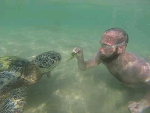 Sunset Surfing Beach Resort Matara Exterior foto